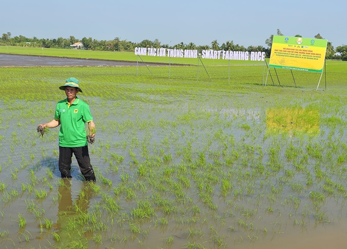 thuc hien canh tac lua thong minh phat thai thap gan voi tang truong xanh