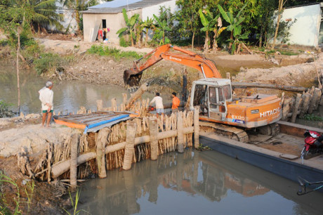 Một số địa phương gia cố đê bao cống đập đề phòng lũ, bảo vệ lúa TĐ