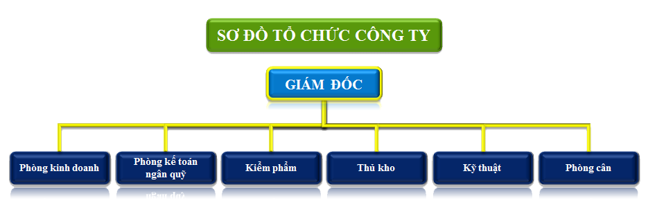 sơ đồ tổ chức